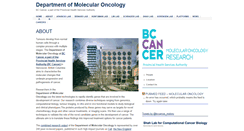 Desktop Screenshot of molonc.bccrc.ca